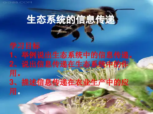生态系统的信息传递(上课课件)