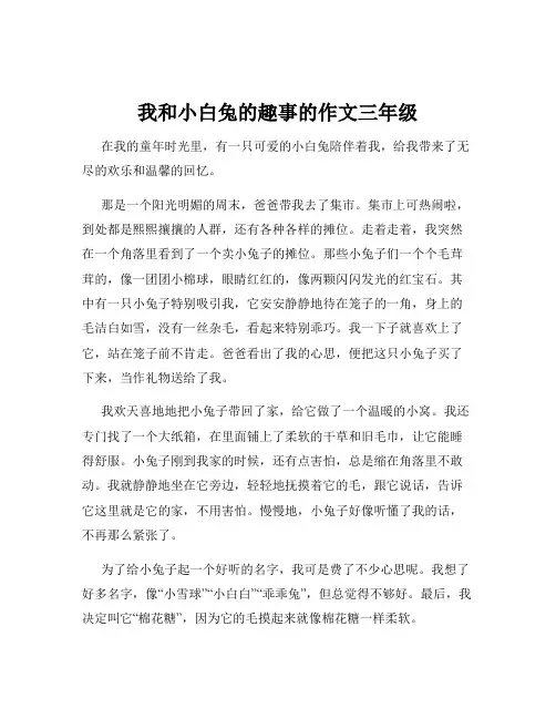 我和小白兔的趣事的作文三年级