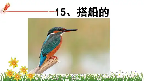 15.搭船的鸟