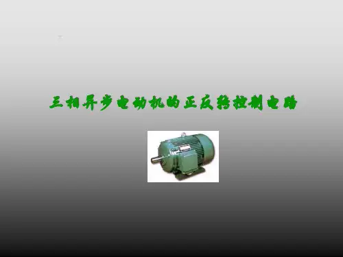 三相异步电动机正反转控制电路要点