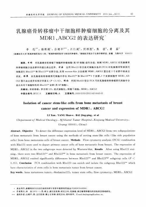 乳腺癌骨转移瘤中干细胞样肿瘤细胞的分离及其MDR1、ABCG2的表达研究