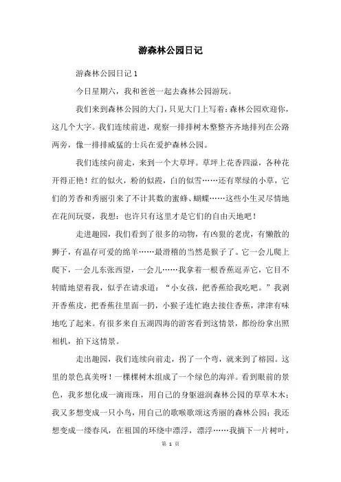 游森林公园日记