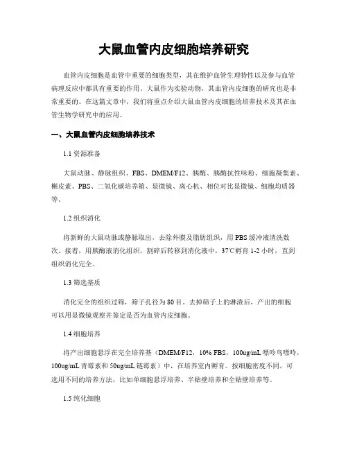 大鼠血管内皮细胞培养研究