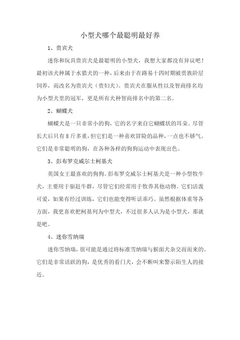 小型犬哪个最聪明最好养