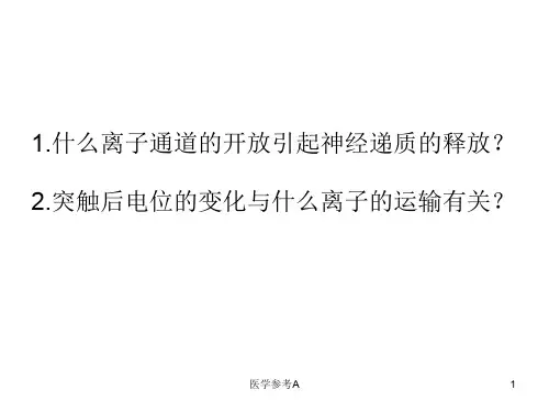 神经递质 与受体【参考仅供】