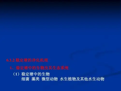 哈尔滨工业大学精品课工程《水质工程学》第六章_污水的自然生物处理