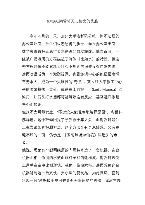陶哲轩无与伦比的头脑