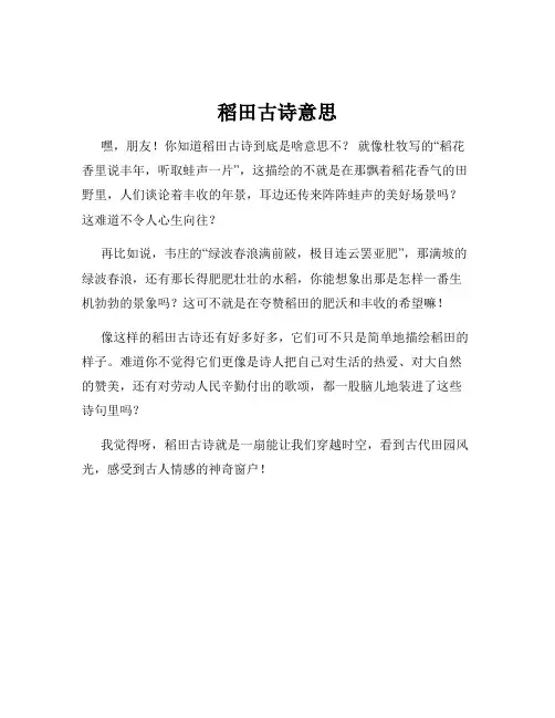 稻田古诗意思