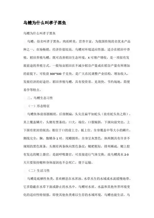 乌鳢为什么叫孝子黑鱼
