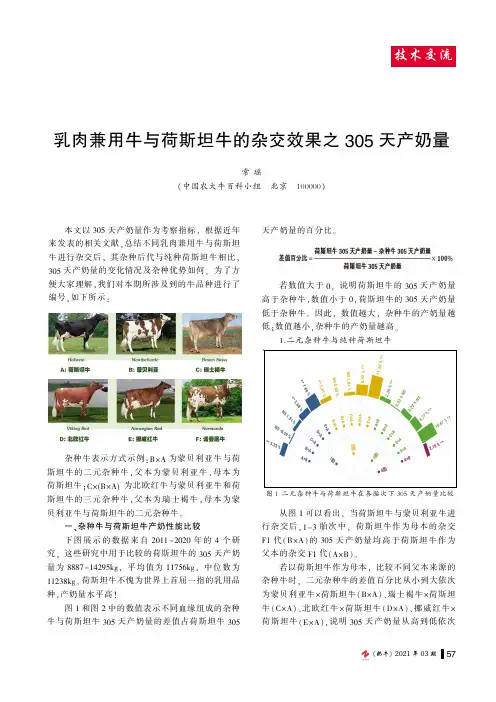 乳肉兼用牛与荷斯坦牛的杂交效果之305天产奶量