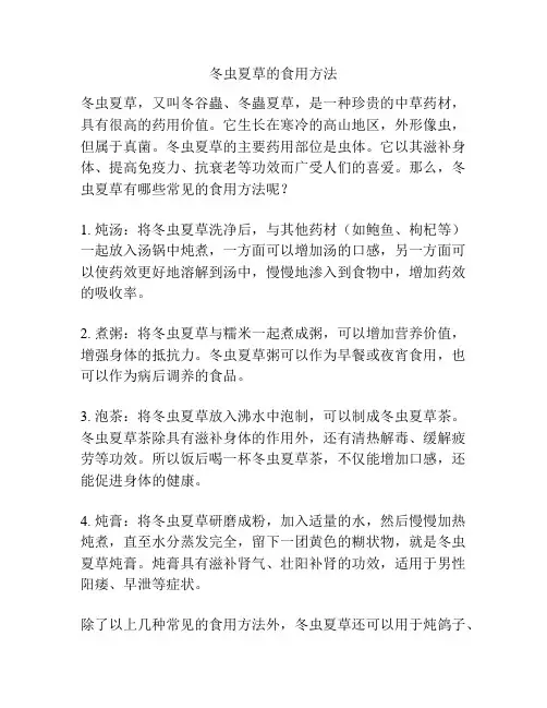冬虫夏草的食用方法