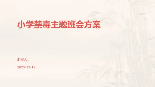 小学禁毒主题班会方案