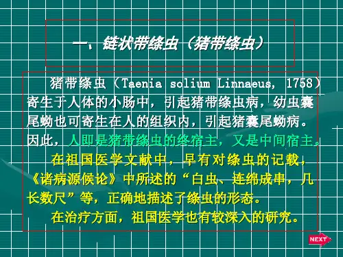 1、猪带绦虫ppt课件