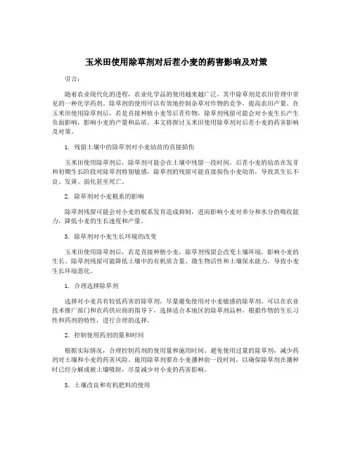 玉米田使用除草剂对后茬小麦的药害影响及对策