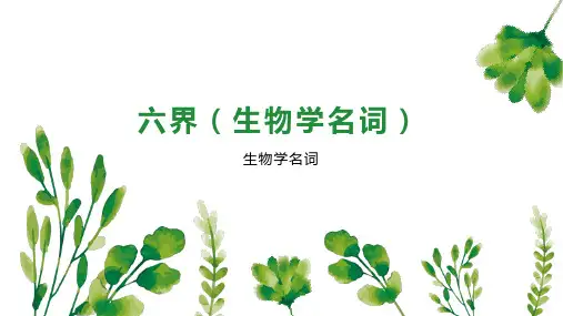 六界(生物学名词)
