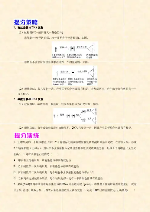 2021高考生物解题技法06 同位素标记法在遗传分子基础和细胞基础的应用(Word学生考试版)