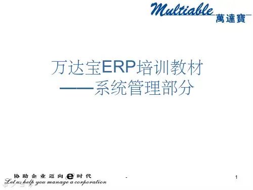 万达宝ERP培训教材(系统管理部分) ppt