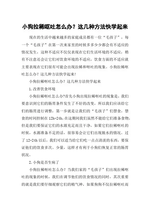 小狗拉稀呕吐怎么办？这几种方法快学起来