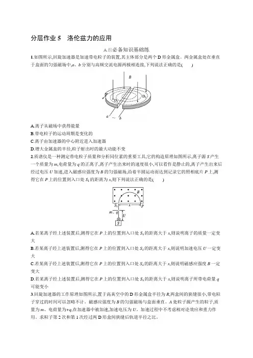 2024-2025学年高二物理选择性必修第二册(配鲁科版)分层作业5洛伦兹力的应用