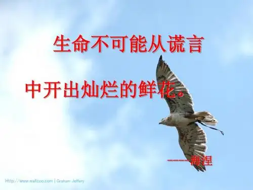 1.4.1有理数乘法(2)