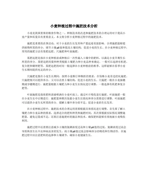 小麦种植过程中施肥技术分析