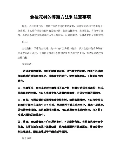 金桂花树的养殖方法和注意事项
