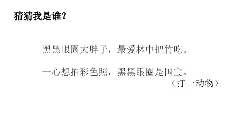  少儿创意美术-功夫熊猫——PPT
