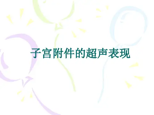 妇科超声诊断