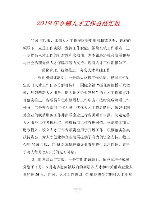 2019年乡镇人才工作总结汇报