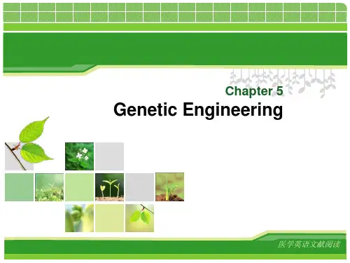 Genetic engineering基因工程