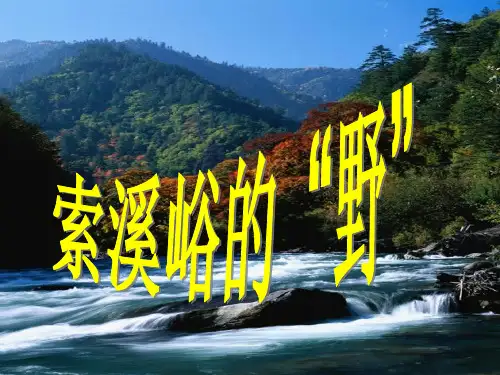 4、索溪峪的野PPT课件