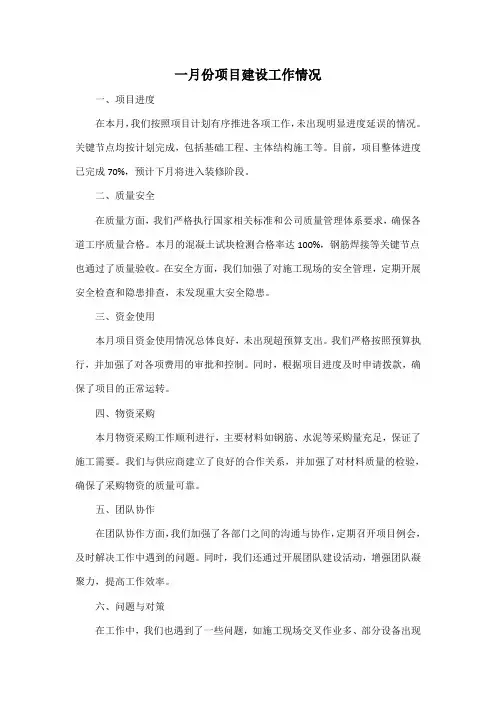 一月份项目建设工作情况