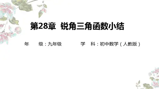 第二十八章 锐角三角函数小结  课件(共19张PPT) 人教版  九年级数学下册