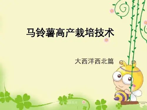 马铃薯高产栽培技术