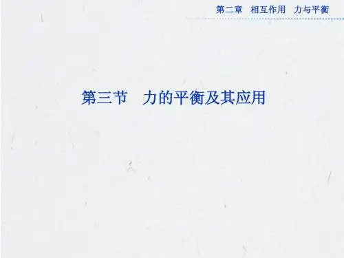高考物理一轮总复习(鲁科版)课件：第二章第三节