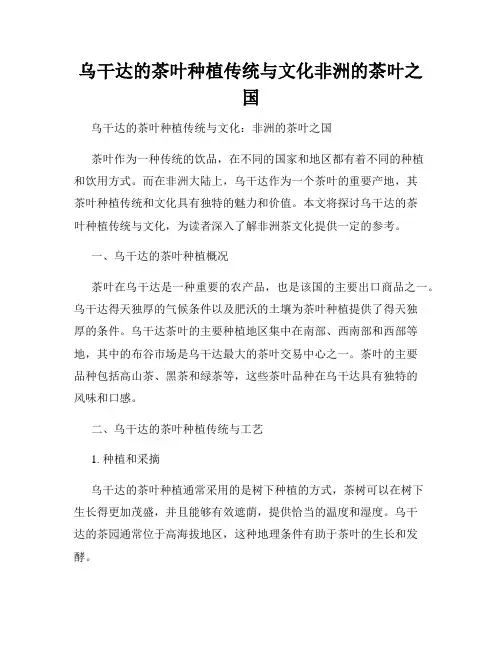 乌干达的茶叶种植传统与文化非洲的茶叶之国
