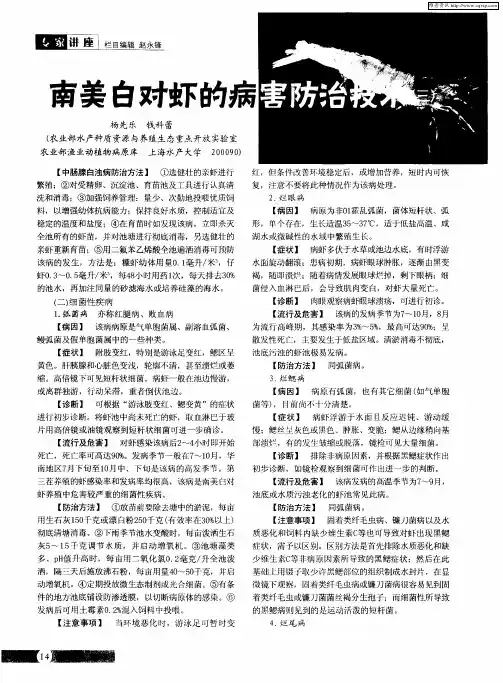 南美白对虾的病害防治技术(三)