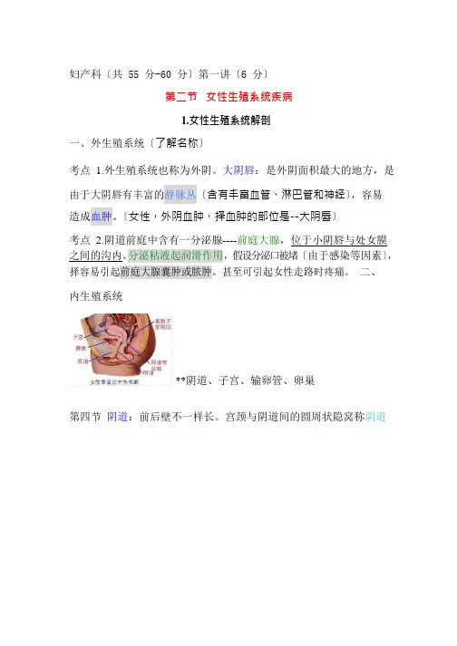 2022年大苗妇产科第一讲彩色笔记(无水印)