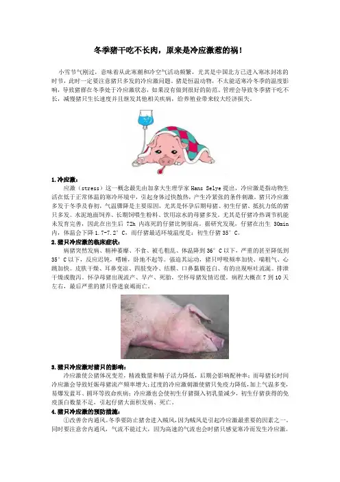 冬季猪干吃不长肉,原来是冷应激惹的祸!