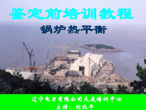 锅炉热平衡解析