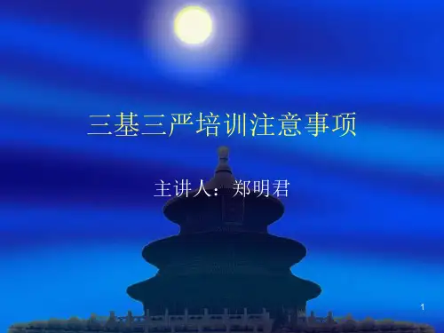 三基三严培训注意事项ppt课件