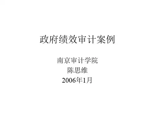 政府绩效审计案例