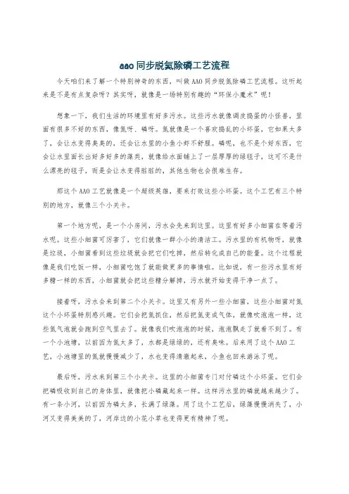 aao同步脱氮除磷工艺流程