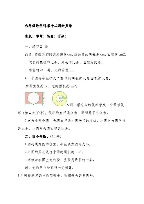 六年级上册数学周周测-第十二周-人教新课标（2021秋）