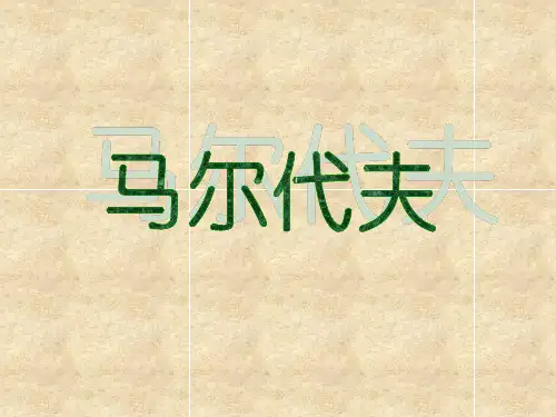 马尔代夫资料-FESCO联系人总表