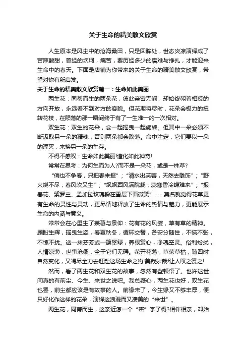关于生命的精美散文欣赏