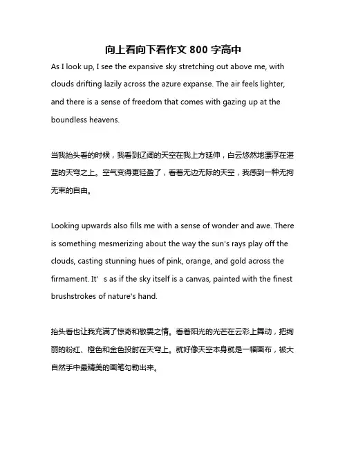 向上看向下看作文800字高中