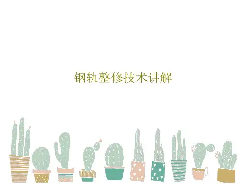 钢轨整修技术讲解48页PPT