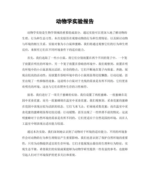 动物学实验报告
