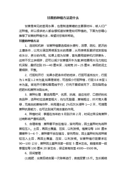 甘蔗的种植方法是什么
